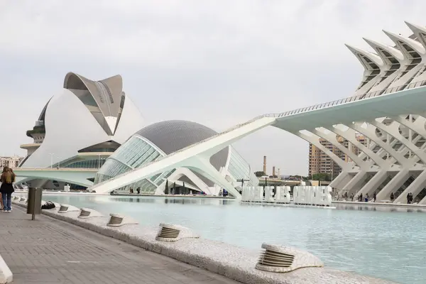 stock image City of Arts and Sciences. In Valencia. Oceanographic. Museum of Science. Hemispheric. Palau de les arts de Valencia. Buildings designed by Santiago Calatrava. It resembles the skeleton of a whale.