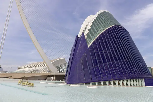 Stock image City of Arts and Sciences. In Valencia. Oceanographic. Museum of Science. Hemispheric. Palau de les arts de Valencia. Buildings designed by Santiago Calatrava. It resembles the skeleton of a whale.