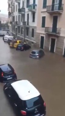 Su baskını. Şiddetli sel. Nehir taşan nehir yatağı ağaçlarını su altında ağır çekimde taşar. Yağmurlu bir dönemde çok fazla kirli su taşıyan bir akarsuyun akışı. 2024.