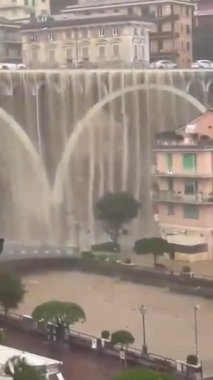 Su baskını. Şiddetli sel. Nehir taşan nehir yatağı ağaçlarını su altında ağır çekimde taşar. Yağmurlu bir dönemde çok fazla kirli su taşıyan bir akarsuyun akışı. 2024.