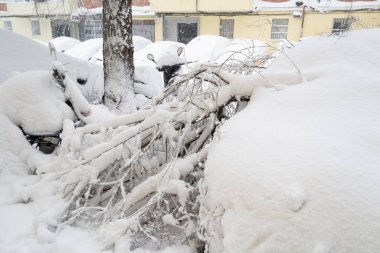 Kar yağıyor. Rüzgâr. Sokak. Kış. Çatı çökmüş. Beyaz kar örtüsü. 2024. Kasım. Beyaz battaniye. Fırtına. Finlandiya. İsviçre. Danimarka. Avusturya. Moskova. Almanya. Birleşik Devletler. Alaska mı? Montana 'da. Utah.