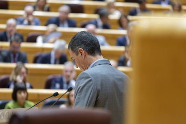 Pedro Sanchez Perez-Castejon. İspanya Başkanı. Senato. PSOE. Pedro Sanchez. Milletvekilleri Meclisi. DANA raporu. 27 yaşında. Kasım. 2024.