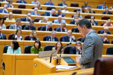 Pedro Sanchez Perez-Castejon. İspanya Başkanı. Senato. PSOE. Pedro Sanchez. Milletvekilleri Meclisi. DANA raporu. 27 yaşında. Kasım. 2024.