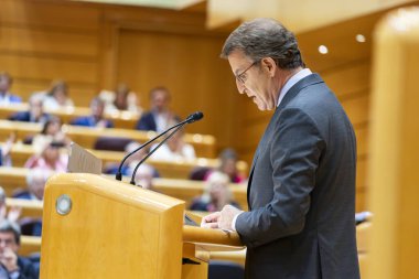 Alberto Nez Feijo. President of PP. Senate. Alberto Feijo. Congress of Deputies. Making statements at the lectern. 25. November. 2024. Madrid- Spain. clipart