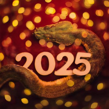 Çin Yeni Yılı. Çin Yeni Yılı 2025. 2025 yılı. Yılan Yılı. 