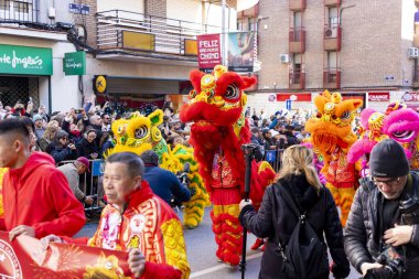 Happy Chinese New Year. 2025. Chinese lion dance performance on the streets. Chinese lion costumes during Chinese New Year celebration in China. celebrations concept. clipart