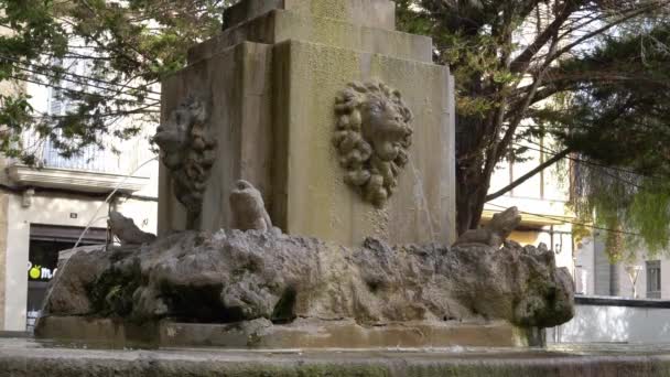 Fontanna Majorce Inca Płaskorzeźbami Lwa Wychodzi Plując Wodą Hiszpania — Wideo stockowe
