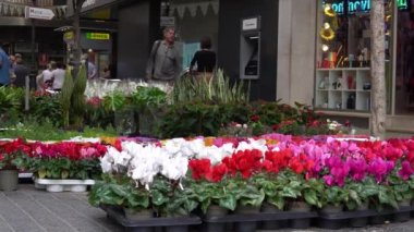 Inca, İspanya 22 Ekim 2022: Majorcan 'ın İnka kasabasındaki arazi panayırı. Sokak tezgahları çiçek satıyor ve insanlar geziniyor. İspanya