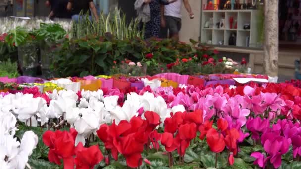 Feria Tierra Ciudad Mallorquina Inca Puestos Callejeros Vendiendo Flores Gente — Vídeos de Stock