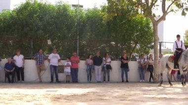 Porreres, İspanya Kasım 01 2022: Her yıl düzenlenen sonbahar çiftlik hayvanları fuarı İspanya 'nın Porreres kentinde. Farklı atların sergilenmesi