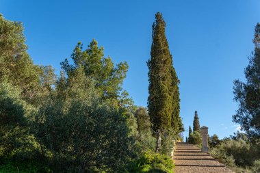 Günbatımında kırsal kaldırım taşı yolu, Majorcan kasabası Felanitx, İspanya
