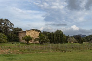 Felanitx, Spain; january 05 2023: House with a vineyard crop on a winter day at sunset. Island of Mallorca, Spain