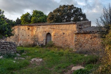 Terk edilmiş kırsal bir evde, harabe halinde, sarı otlar ve kır çiçekleriyle dolu bir arazide. Mallorca Adası, İspanya