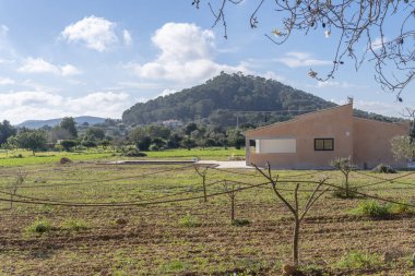 Felanitx, Spain; january 14 2023: A rural comfortable house on a winter day. Island of Mallorca, Spain