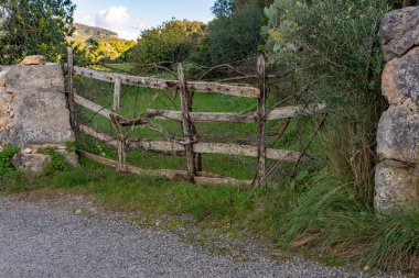 Old wooden fence enclosing a crop field on a sunny winter morning on the island of Mallorca, Spain