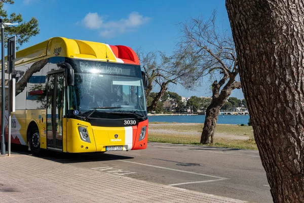 Portocolom Spanien April 2023 Buss Till Det Offentliga Företaget Tib — Stockfoto