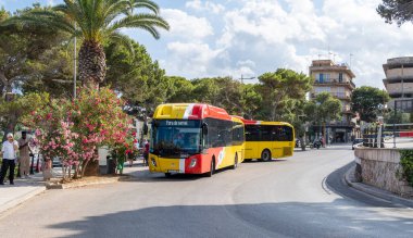 Porto Cristo, İspanya; Temmuz 01 2023: Kamu kuruluşu TIB otobüsleri İspanya 'nın Mallorca adasındaki Porto Cristo kentindeki bir otobüs durağına park etti.