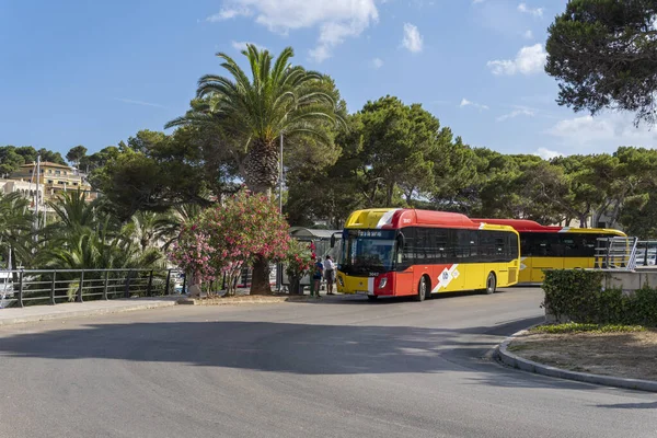 Porto Cristo Spanien Juli 2023 Bussar Till Det Offentliga Företaget — Stockfoto