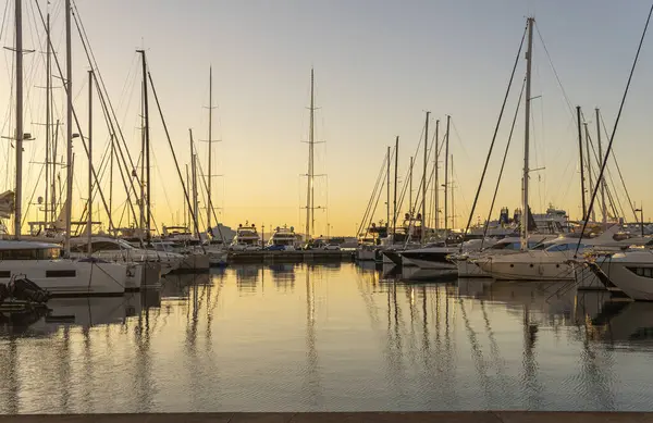 Palma Mallorca España Agosto 2023 Acercamiento Barcos Lujo Amarrados Puerto — Foto de Stock