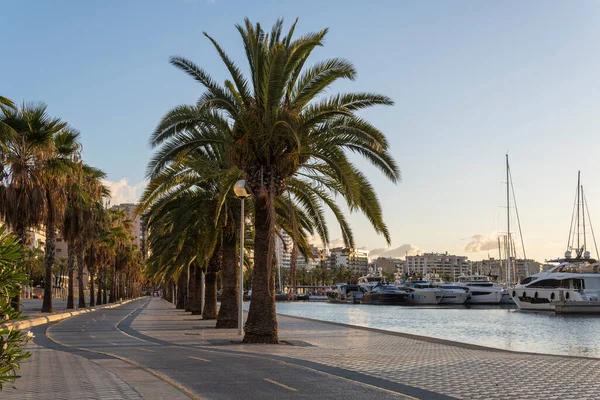 Palma Mallorca Spanyol Agustus 2023 Seafront Promenade Wisata Resor Palma Stok Foto Bebas Royalti