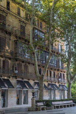 Palma de Mallorca, İspanya; Ağustos 06 2023: Passeig de 's Born' un genel görünümü, gün doğumunda Palma de Mallorca şehrinin tarihi merkezinde. İspanya