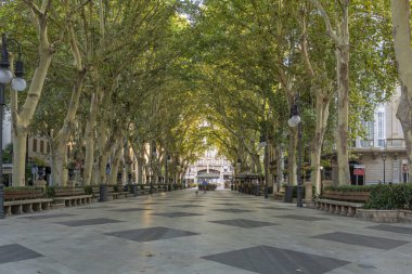 Palma de Mallorca, İspanya; Ağustos 06 2023: Passeig de 's Born' un genel görünümü, gün doğumunda Palma de Mallorca şehrinin tarihi merkezinde. İspanya