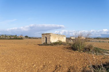 Güneşli bir sabahta Mallorca adasının iç kısımlarında terk edilmiş eski bir kır evinin olduğu genel manzara. Felanitx, Mallorca Adası, İspanya