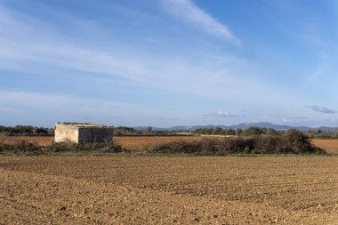 Güneşli bir sabahta Mallorca adasının iç kısımlarında terk edilmiş eski bir kır evinin olduğu genel manzara. Felanitx, Mallorca Adası, İspanya