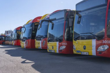 Felanitx, İspanya; Aralık 06 2023: Kamu kuruluşu TIB 'nin otobüsleri, Balear Adaları' nın ulaşımı, güneşli bir sabah bir sanayi parkına park edildi. Felanitx, Mayorka Adası, İspanya