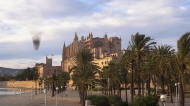 Güneşli bir kış günbatımında Palma de Mallorca Katedrali 'nin genel manzarası. Gökyüzünde uçan sığırcık sürüsü Sturnus vulgaris.  