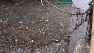 Yosun ve plastik enkaz içeren deniz suyuyla dolu bir tekne rıhtımına yakın çekim. Mallorca Adası, İspanya