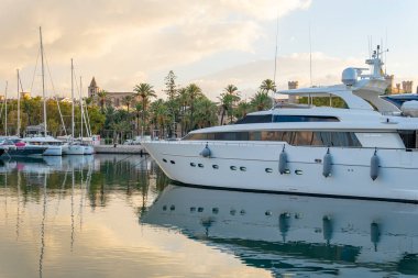 Palma de Mallorca, İspanya; 17 Ağustos 2024: Şatafatlı yatlar gün doğumunda Palma de Mallorca marinasında demirlemiş. Balear Adaları, İspanya