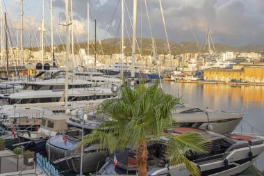 Palma de Mallorca, İspanya; 17 Ağustos 2024: Şatafatlı yatlar gün doğumunda Palma de Mallorca marinasında demirlemiş. Balear Adaları, İspanya