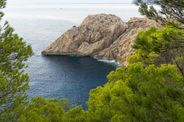 İspanya 'nın Balearic Adaları' ndaki Mallorca adasında çam ağaçları ile kayalık sahilde gün doğumu