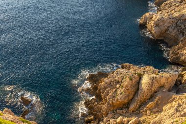 İspanya 'nın Balearic Adaları' ndaki Mallorca adasında çam ağaçları ile kayalık sahilde gün doğumu
