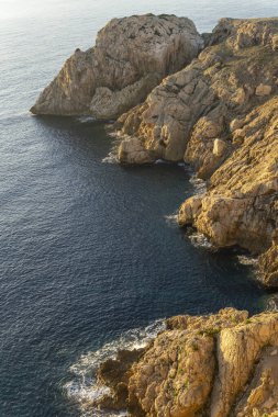İspanya 'nın Balearic Adaları' ndaki Mallorca adasında çam ağaçları ile kayalık sahilde gün doğumu