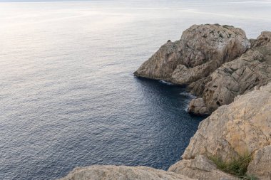 İspanya 'nın Balearic Adaları' ndaki Mallorca adasında çam ağaçları ile kayalık sahilde gün doğumu