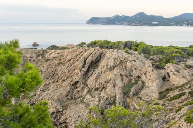 İspanya 'nın Balearic Adaları' ndaki Mallorca adasında çam ağaçları ile kayalık sahilde gün doğumu