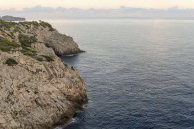 İspanya 'nın Balearic Adaları' ndaki Mallorca adasında çam ağaçları ile kayalık sahilde gün doğumu