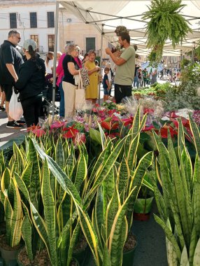 Felanitx, İspanya; 20 Ekim 2024: Mallorcan 'ın Felanitx kentindeki haftalık sokak pazarının genel görünümü, müşterilerin gezindiği ve alışveriş yaptığı