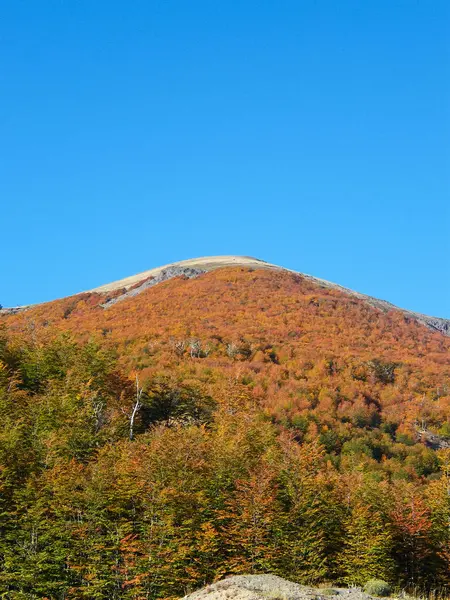 Şili 'nin güneyi, özellikle de Carretera Austral' ı sonbaharda keşfetmek çok renkli bir deneyimdir..
