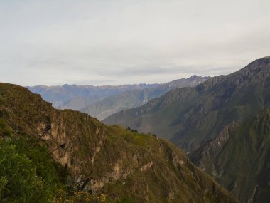 Peru 'daki Colca Kanyonu And Dağları ile çevrilidir.