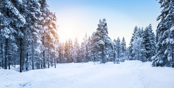 Impresionante Paisaje Forestal Invierno Con Carretera Cubierta Nieve Finlandia — Foto de Stock