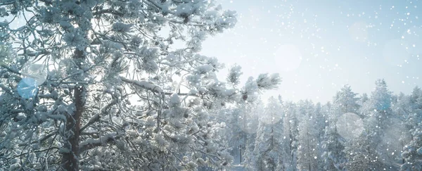Ośnieżona Sosna Mroźny Zimowy Dzień Miękki Obraz Projektu Płatków Śniegu — Zdjęcie stockowe