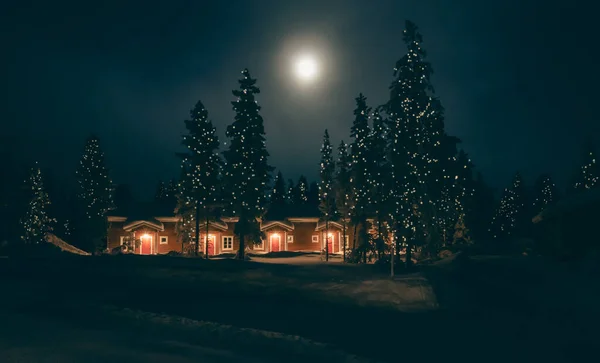 Weihnachtslandschaft Mit Verschneitem Wald Bei Vollmond — Stockfoto