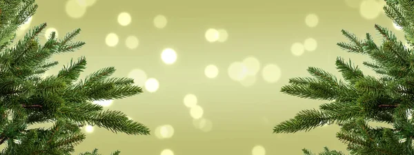 Rami Dell Albero Natale Contro Luci Sfocate Sfondo Verde — Foto Stock