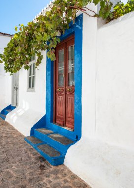 Brown double door with blue frame and stairs on whitewashed wall, decorated with grapevine in Hydra town, Greece.