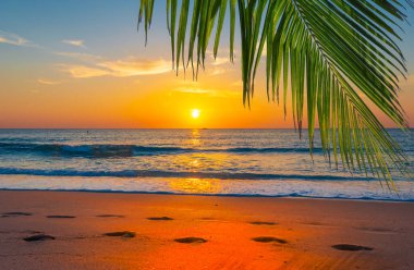 Stunning tropical beach landscape at sunset.