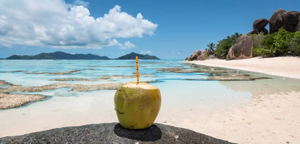 Bebida Fresca Coco Praia Digue Seychelles — Fotografia de Stock