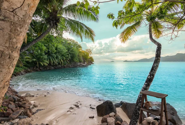 Pequena Praia Tropical Com Palmeiras Ilha Mahe Seychelles — Fotografia de Stock